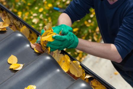 Gutter cleaning importance